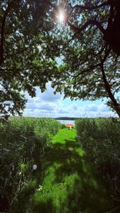 86b8b7cb 581a 42de a624 754a9c64f018